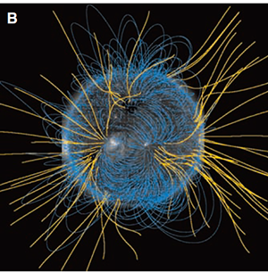 太陽コロナと磁力線の様子