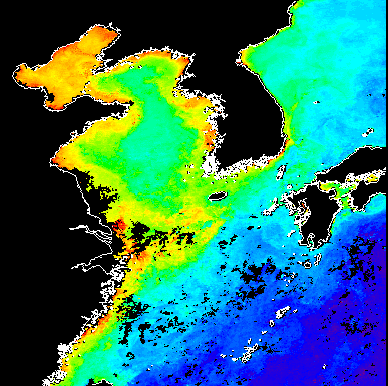 Phytoplankton distribution in the East China Sea, as observed by satellite remote sensing.