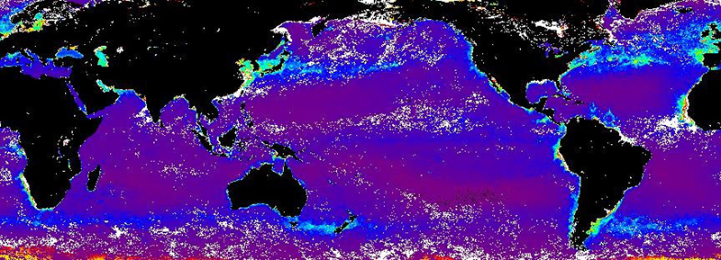 2009年4月の地球規模の海洋での一次生産の分布図