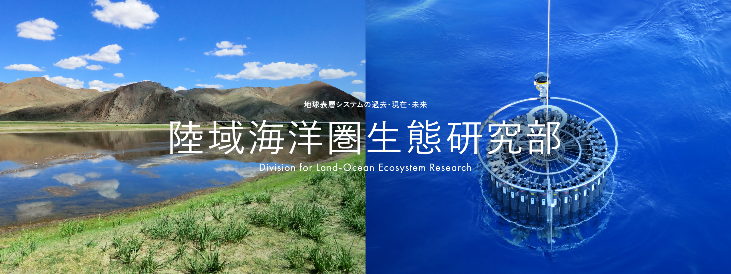 陸域海洋圏生態研究部