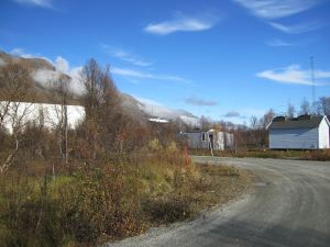 IMG_0733