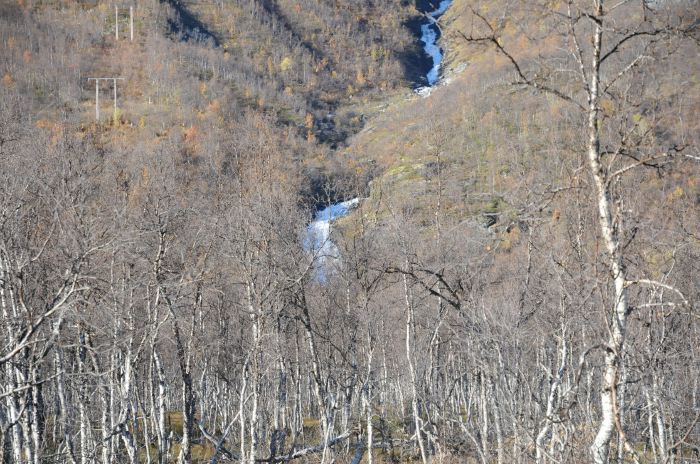 DSC_5223