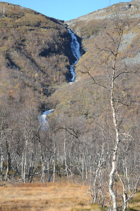 DSC_5225
