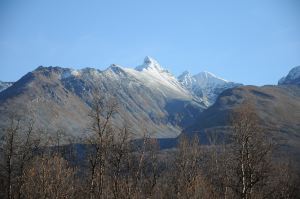 DSC_5228