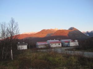 IMG_1147
