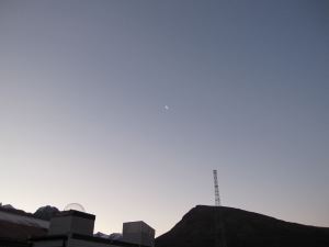 IMG_1210