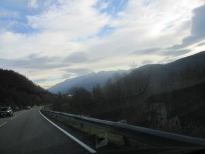 IMG_1446