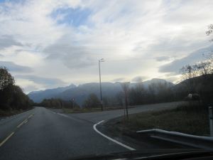 IMG_1453