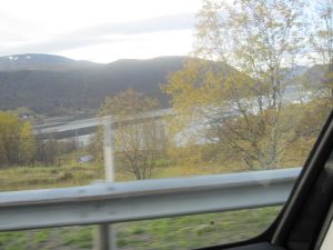 IMG_1458