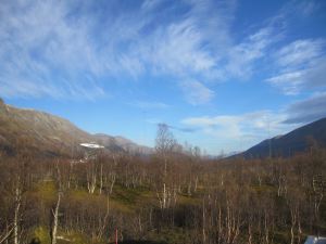 IMG_1475