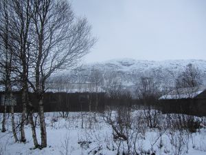 IMG_1605