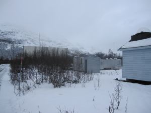 IMG_1599
