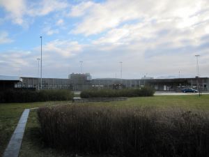 IMG_1621