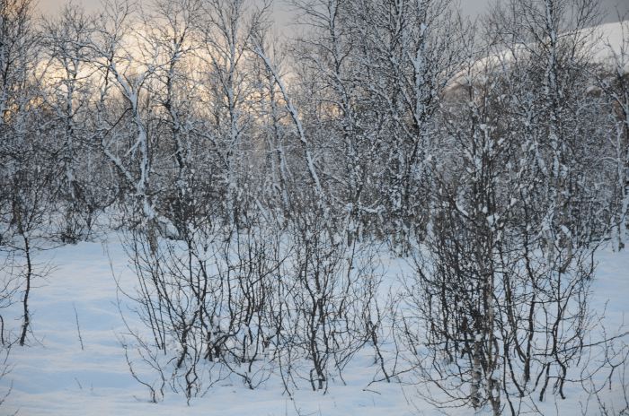 DSC_5759