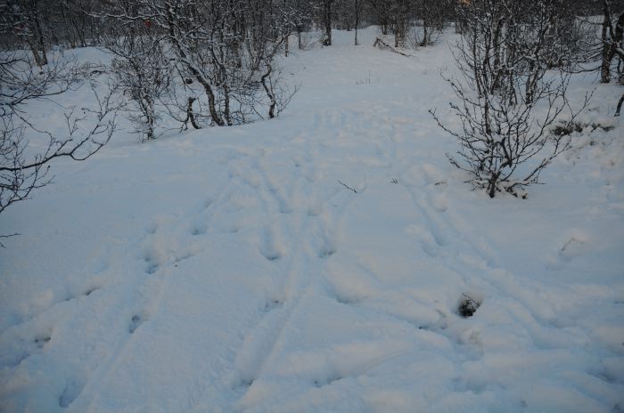 DSC_5797