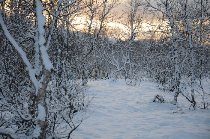 DSC_5672
