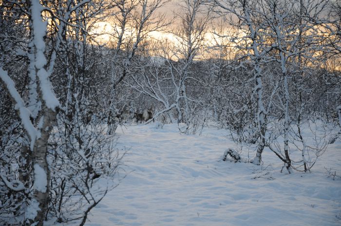 DSC_5677