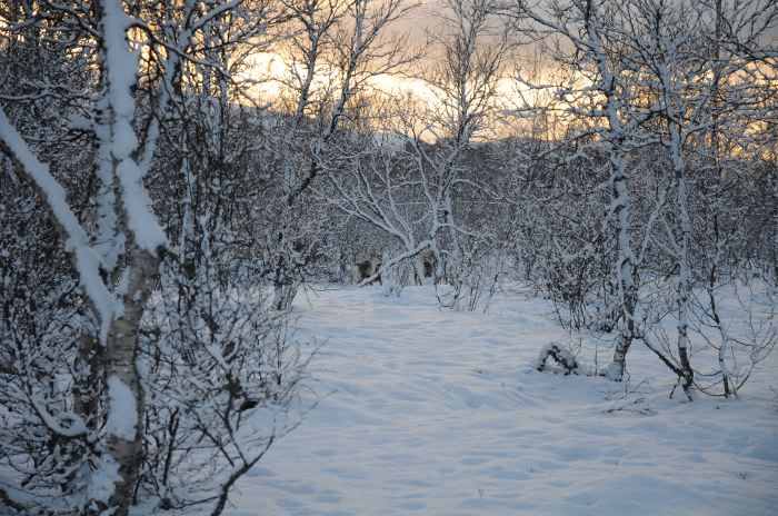 DSC_5689