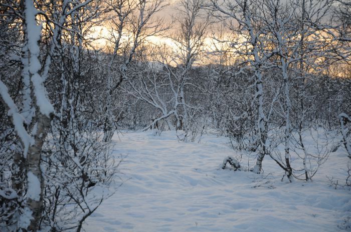 DSC_5692