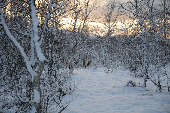 DSC_5663