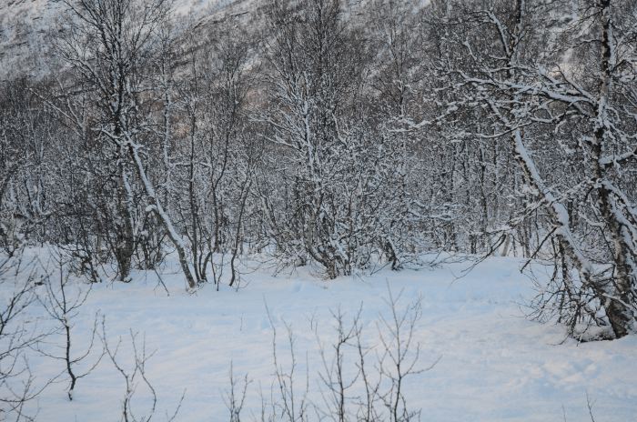 DSC_5747