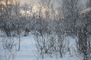 DSC_5755
