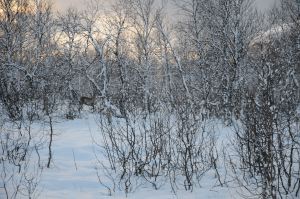 DSC_5756