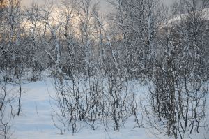 DSC_5758