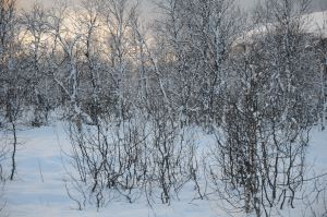 DSC_5759