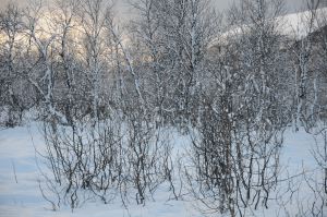 DSC_5761