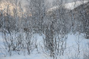 DSC_5762