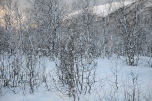 DSC_5764