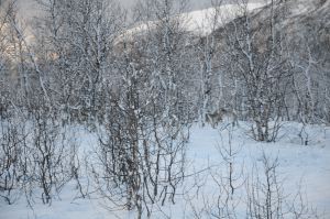 DSC_5765