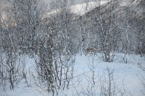 DSC_5766