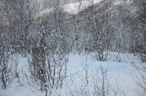 DSC_5767