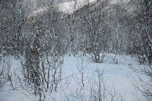 DSC_5768
