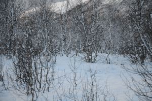 DSC_5769