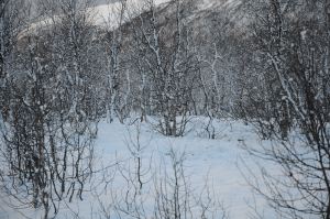 DSC_5771