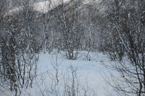 DSC_5772