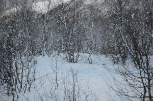 DSC_5773