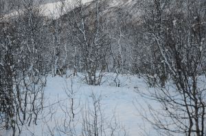 DSC_5774