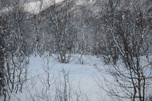 DSC_5775