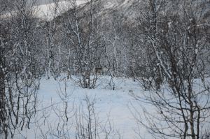 DSC_5776