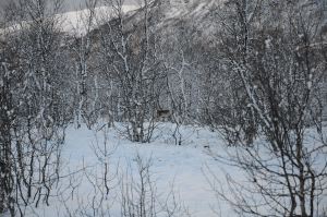 DSC_5777
