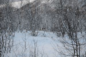 DSC_5779