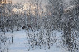 DSC_5782