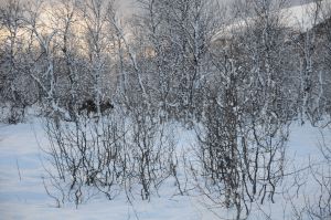 DSC_5786