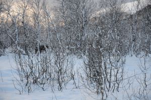 DSC_5787