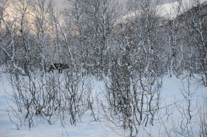 DSC_5789