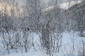 DSC_5794